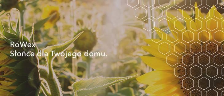 Jak wybrać najlepszy ekogroszek