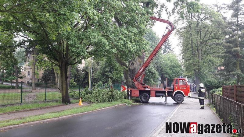 Burza narobiła bałaganu