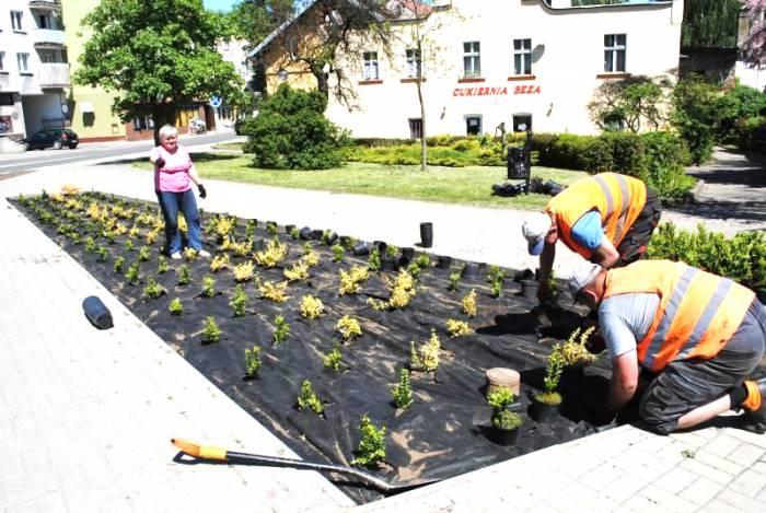 Więcej kwiatów i planowany remont