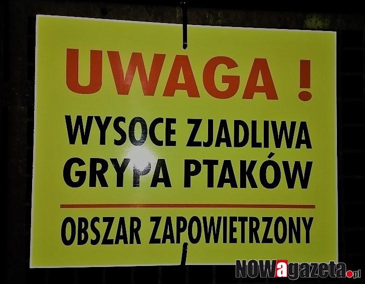 Warto wiedzieć | Koniec ptasiej grypy na terenie powiatu