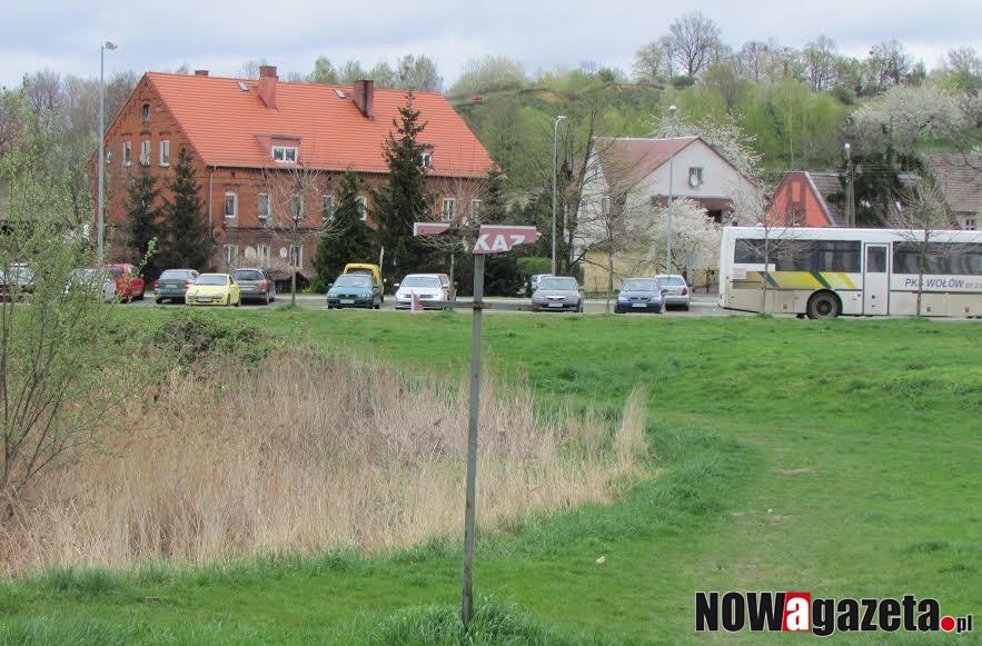 Zaniedbany stawik straszy mieszkańców