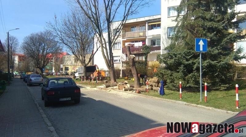 Kolejne drzewa wycięte