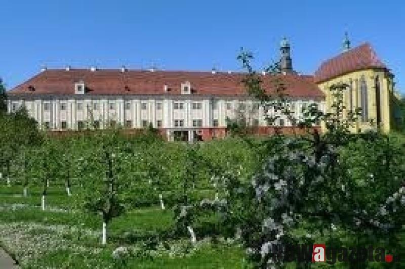 70 tys. dla stowarzyszeń. Sprawdzamy, na jakie zadania