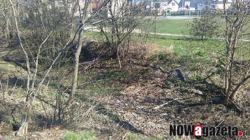 Skokowa : teren wokół szkoły posprzątany