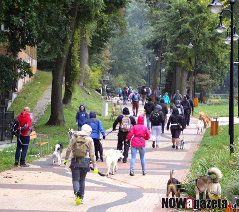 Psi spacer na orientację