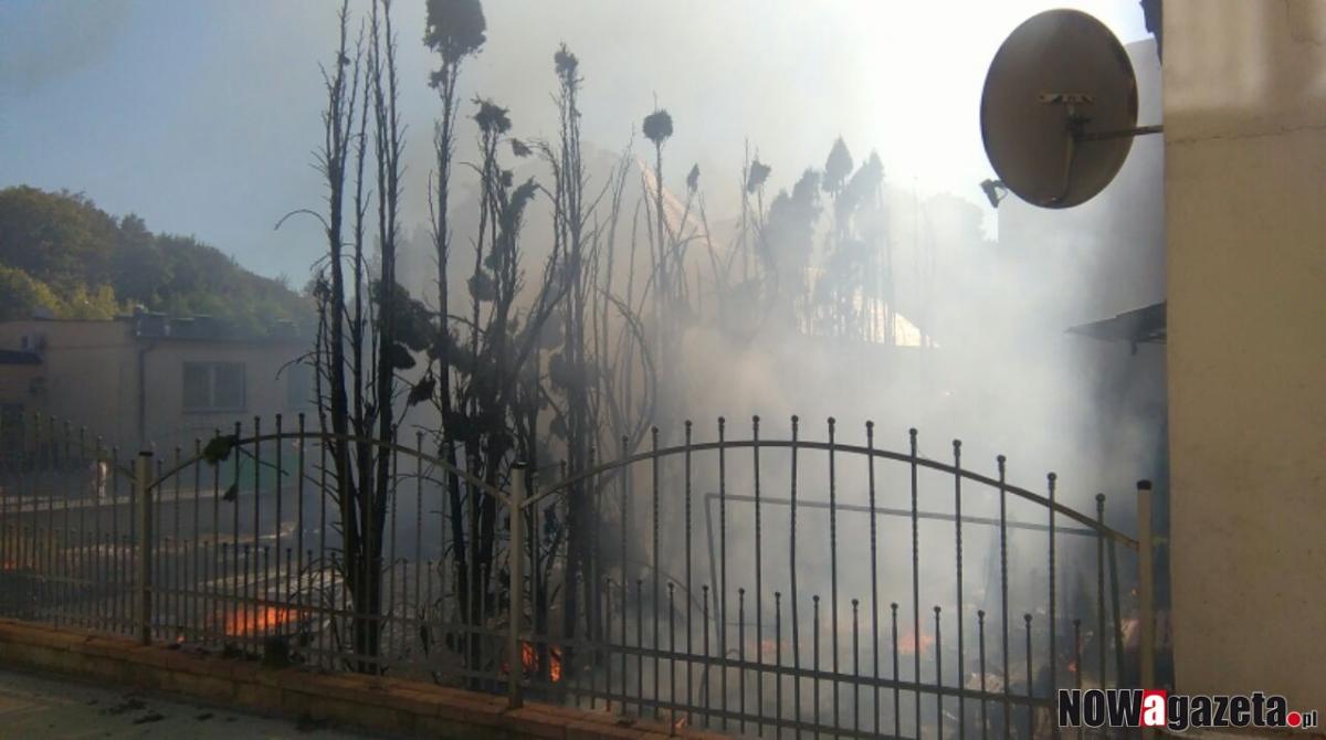 Armagedon na ul. św. Jadwigi