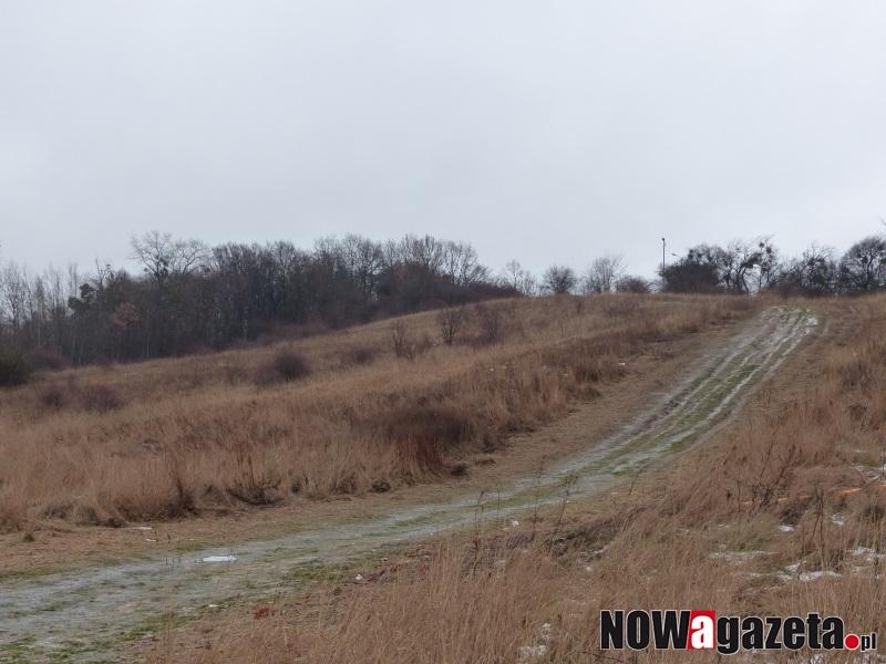 Pomysł na Kocią Górę