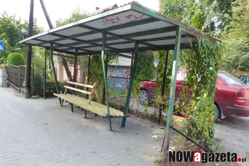 Zarośnięte przystanki - obornicka specjalność?