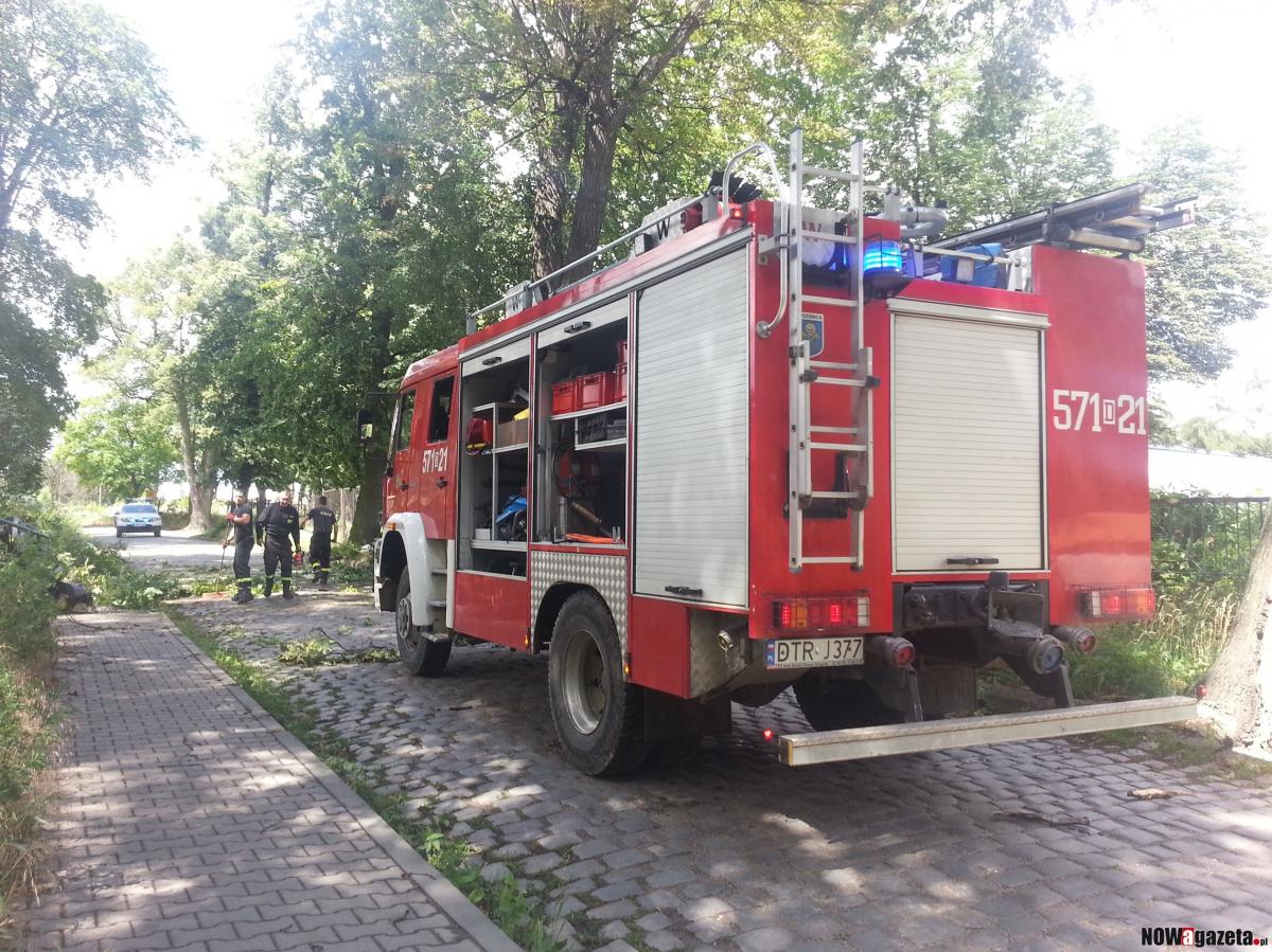 Złamany konar spadł na drogę