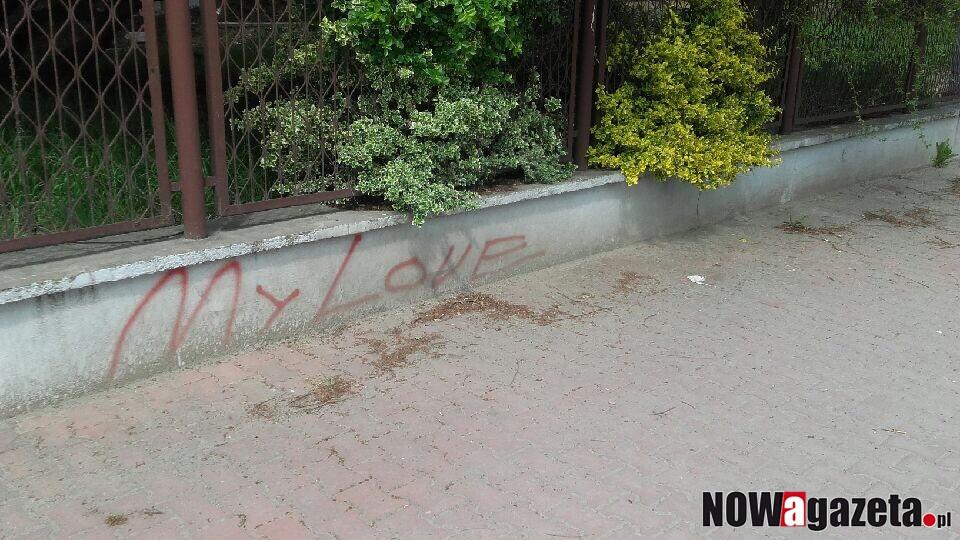 Łobuz kocha najbardziej