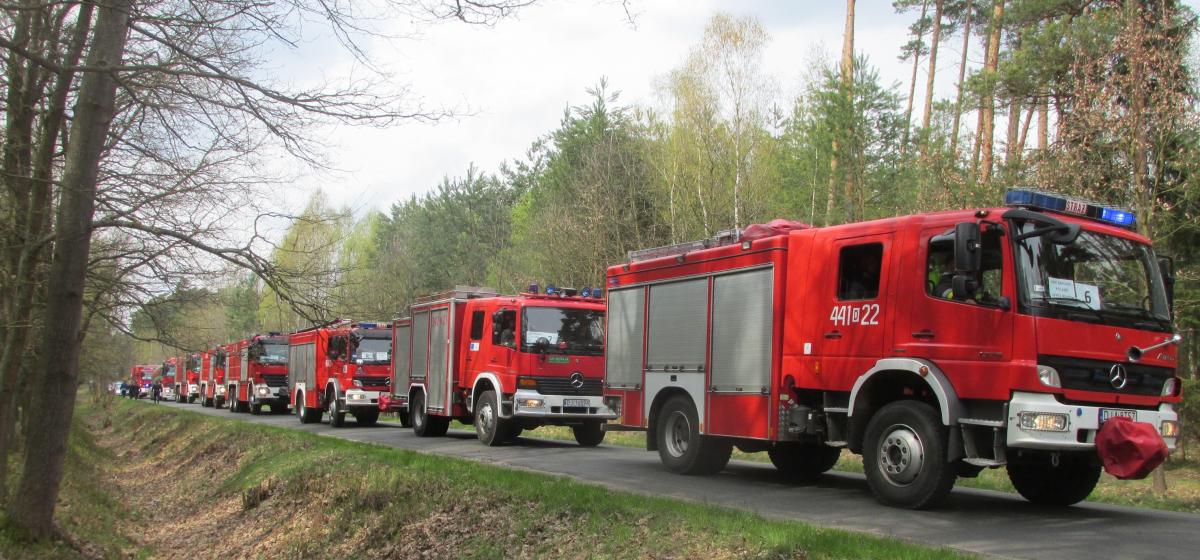 300 strażaków gasiło pożar lasu
