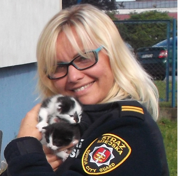 Strażnicy miejscy zajmą się bezdomnymi kotami