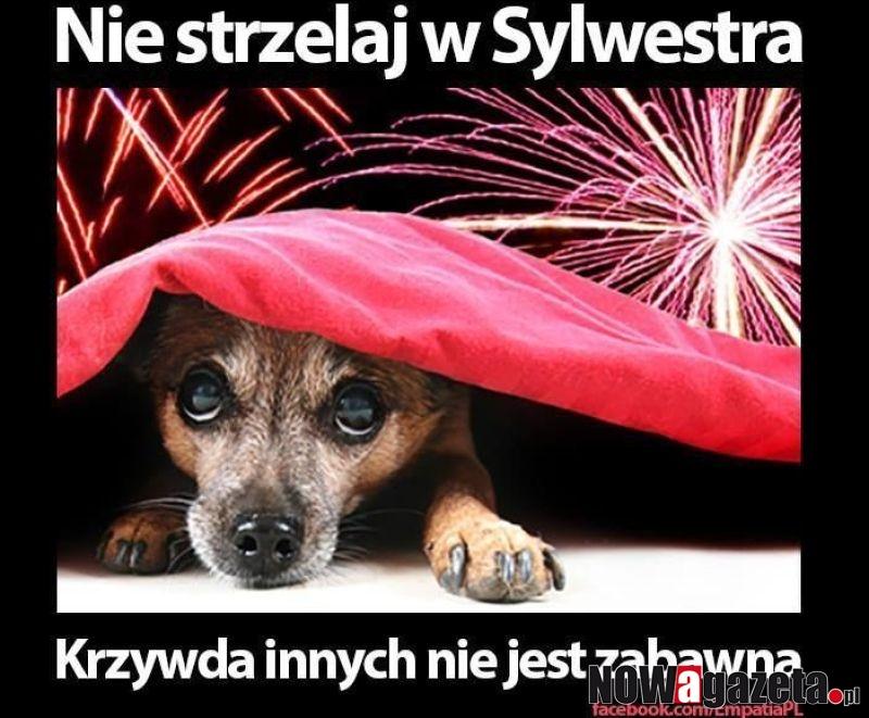 Nie strzelam w Sylwestra!