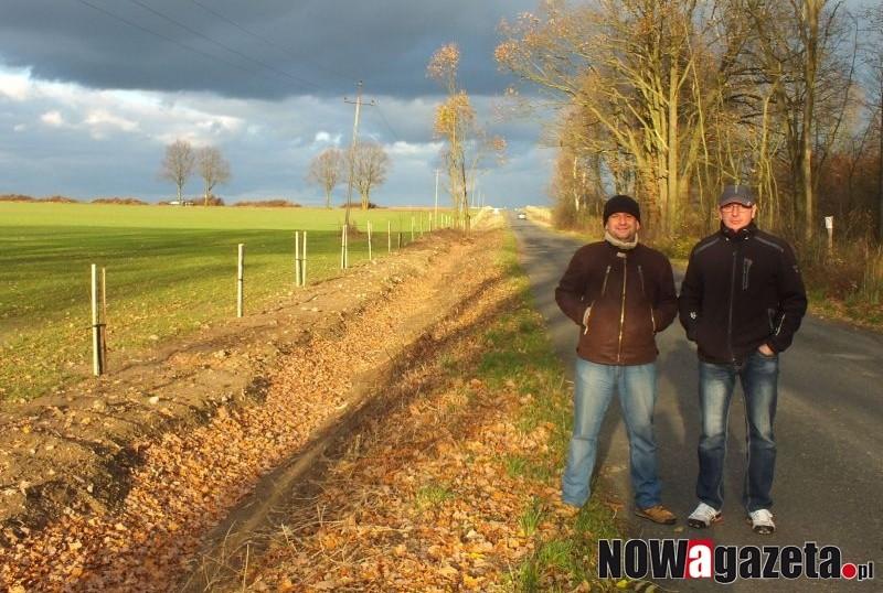180 jarzębów nasadzono wzdłuż drogi powiatowej w Wielkiej Lipie.
