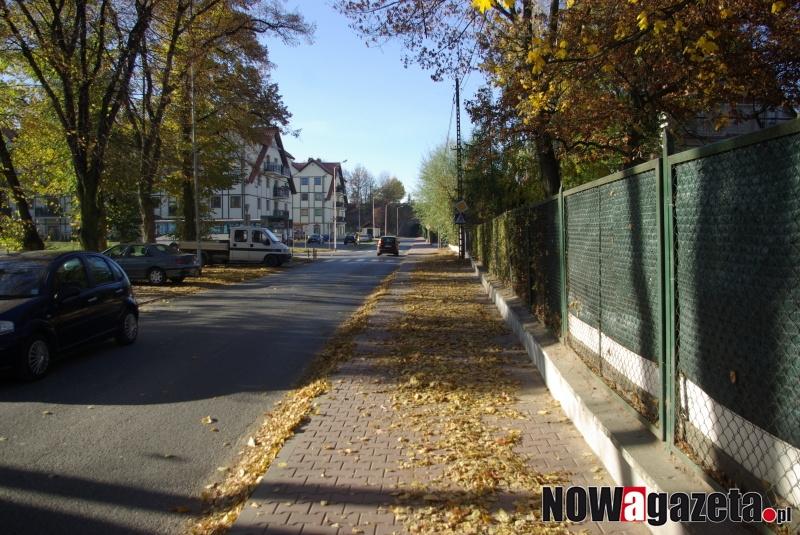 Kto ma sprzątać opadające liście?
