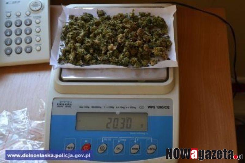 Ponad 100 porcji narkotyków w schowku i garażu