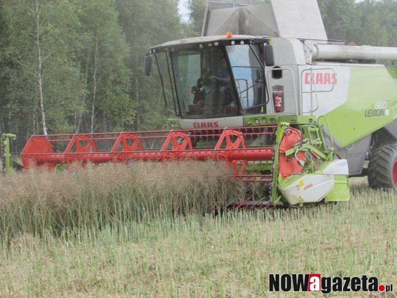 Szkody spowodowane suszą