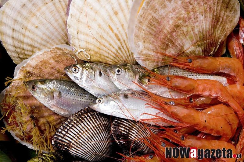 Pomóż przetrwać zagrożonym gatunkom morskim