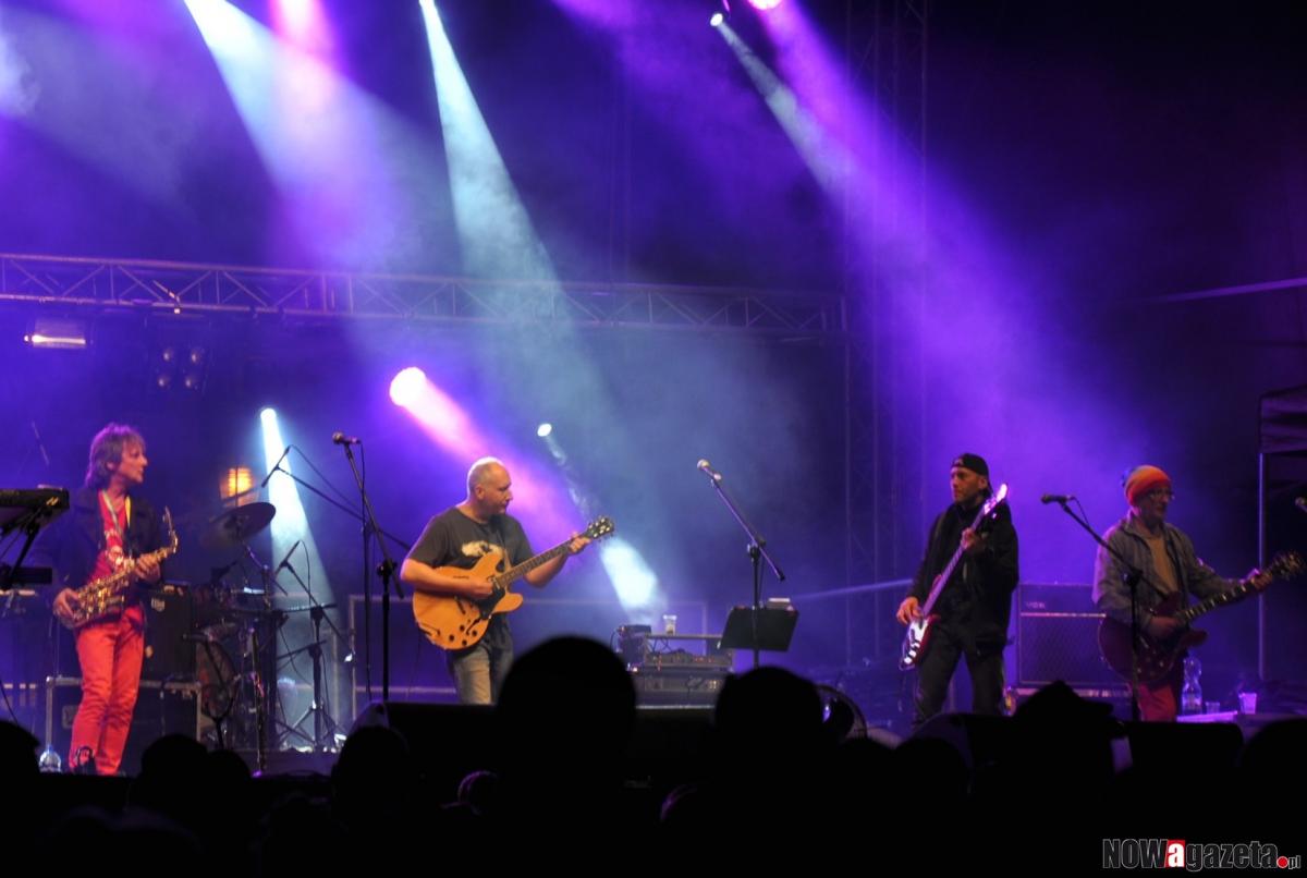 Elektryczne Gitary dają koncert