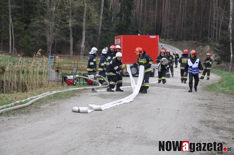 Wielka akcja strażaków w środku lasu