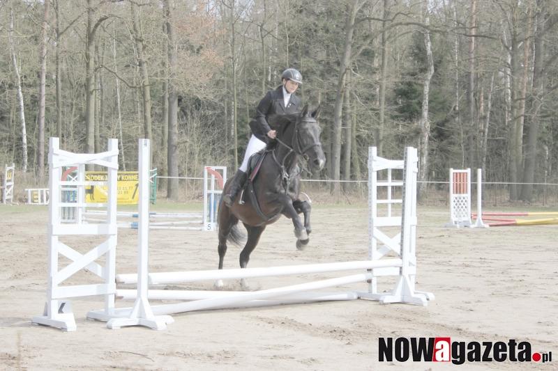 Zawody jeździeckie w najbliższą niedzielę