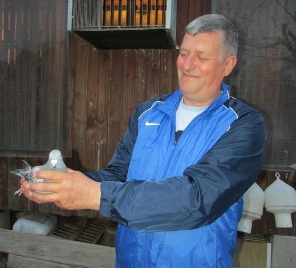 Hodowla gołębi to wciągająca pasja
