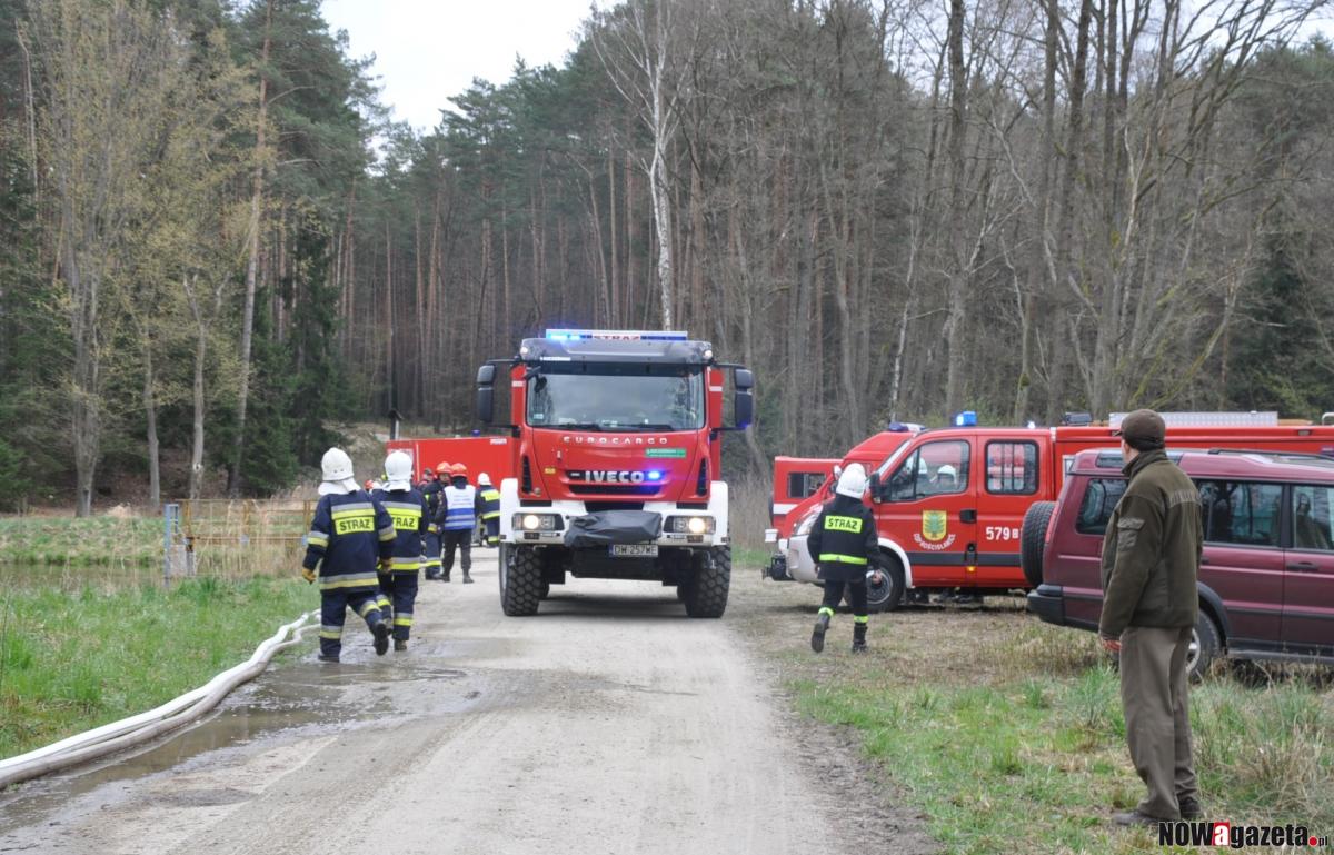 Wielka akcja strażaków