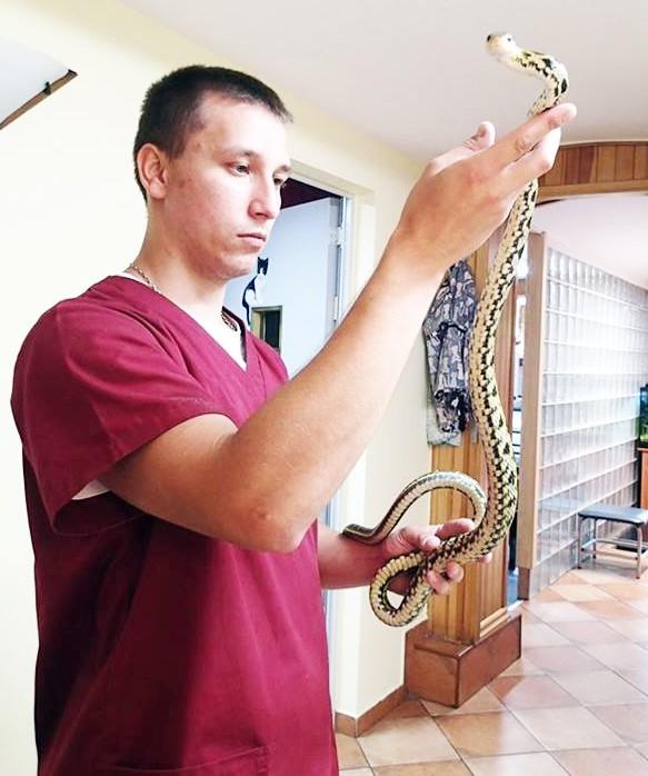 Wąż w domu