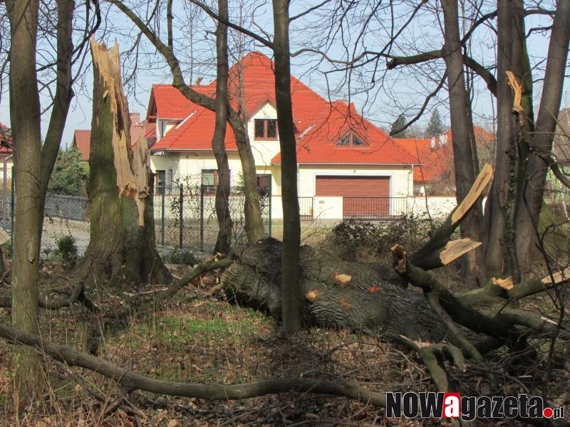 Czy ktoś dba o park?