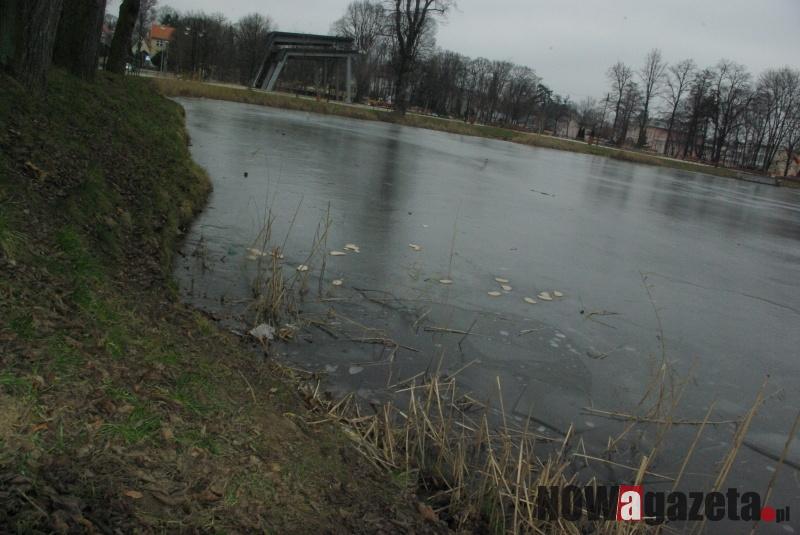 Śmierć w stawie