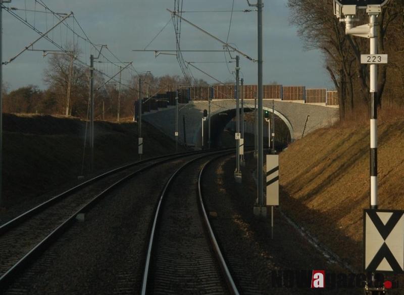 Ścieżka dla żaby i sarenki