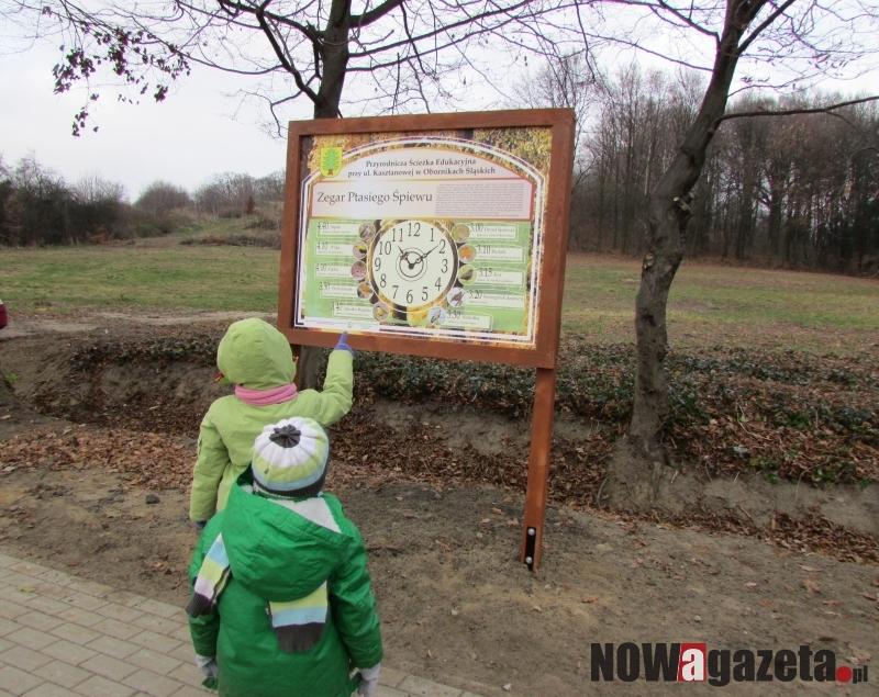O śpiewie ptaków na tablicach