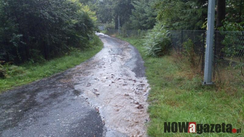 Droga dziurawa i zarośnięta