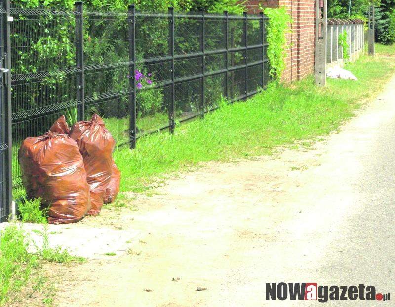 ...a śmieci wciąż 