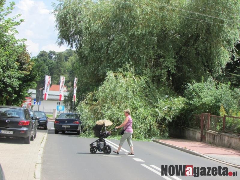 Drzewo zwaliło się na drogę i chodnik