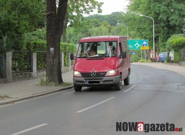 Przez wystające drzewo jeżdżą po chodniku