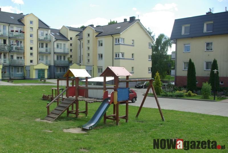 Plaga szczurów w Trzebnicy