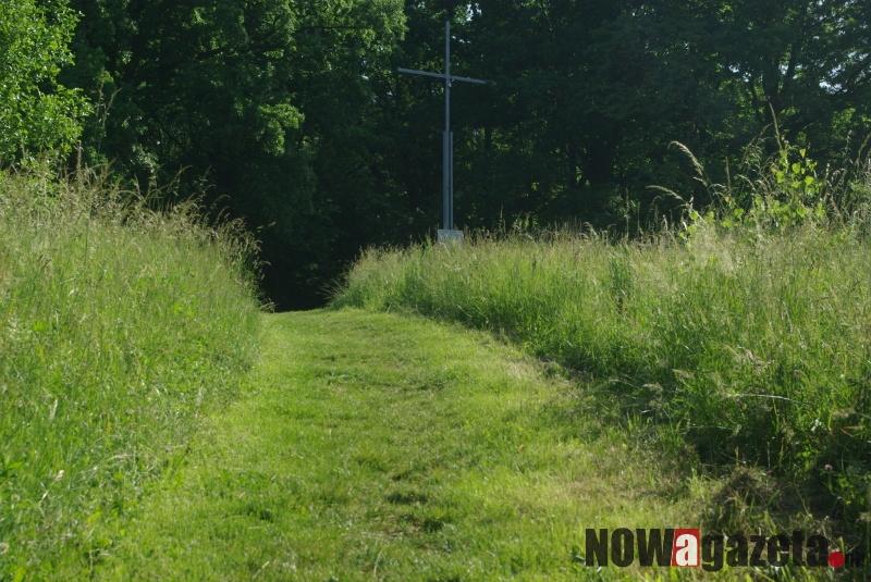 Grzybek do strzyżenia