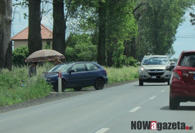 Po truskawki ... po drodze