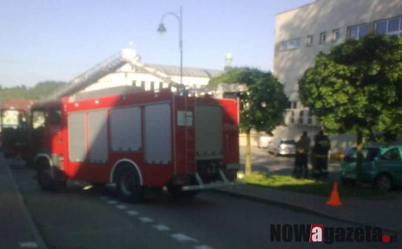 Zamknięli ulicę przez... pszczoły