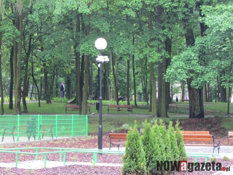 Czy monitoring poprawi bezpieczeństwo?