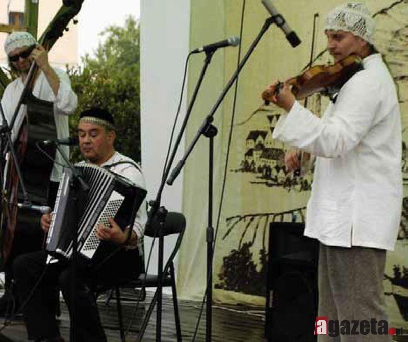 Krzywa Grzywa w saloniku