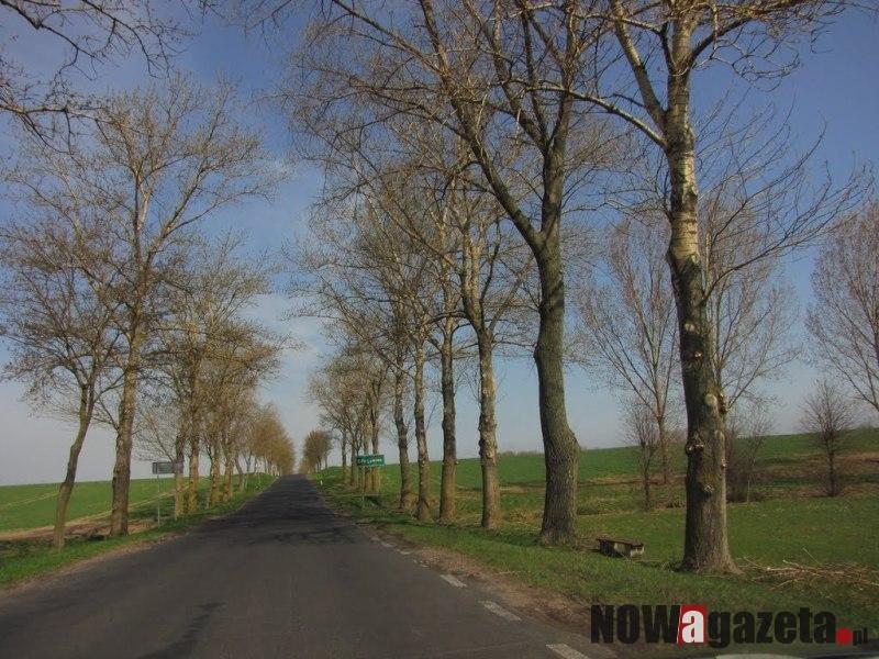 Gdzie szumiące topole?