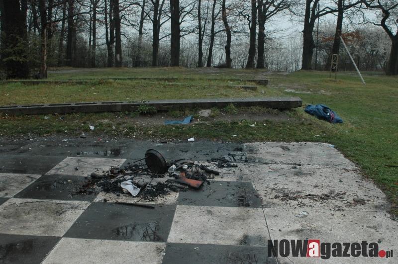 Śmieci w mieście (chyba) mają się dobrze