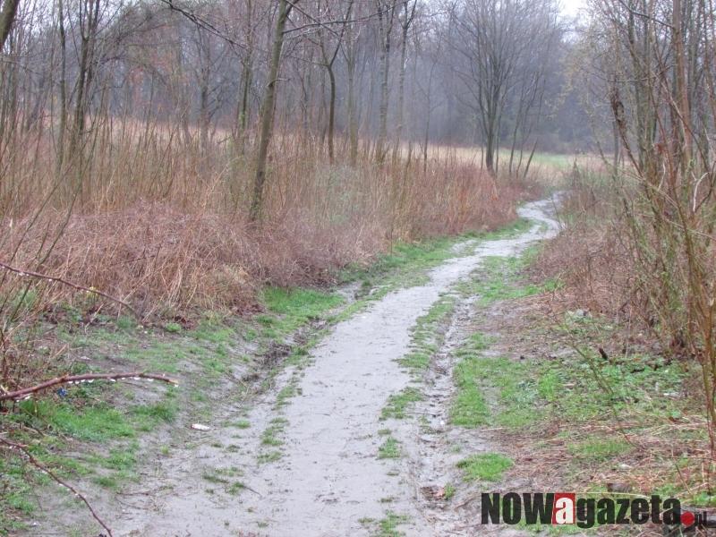 Rozjeżdżone ścieżki, drogi usłane śmieciami