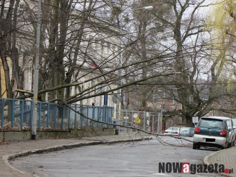 Porywisty wiatr nie oszczędził Obornik Śląskich