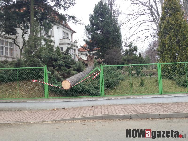 Wichura połamała drzewa i przewróciła Krzyż Katyński