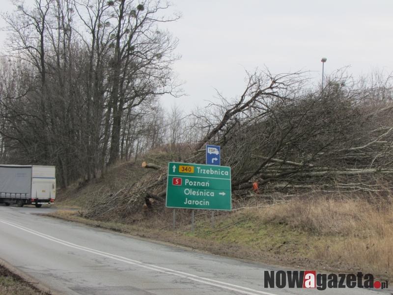 Zniknęły drzewa przy obwodnicy