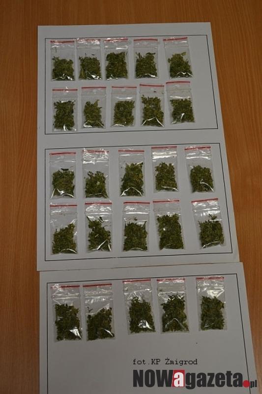 Wyrzucił narkotyki przed kontrolą