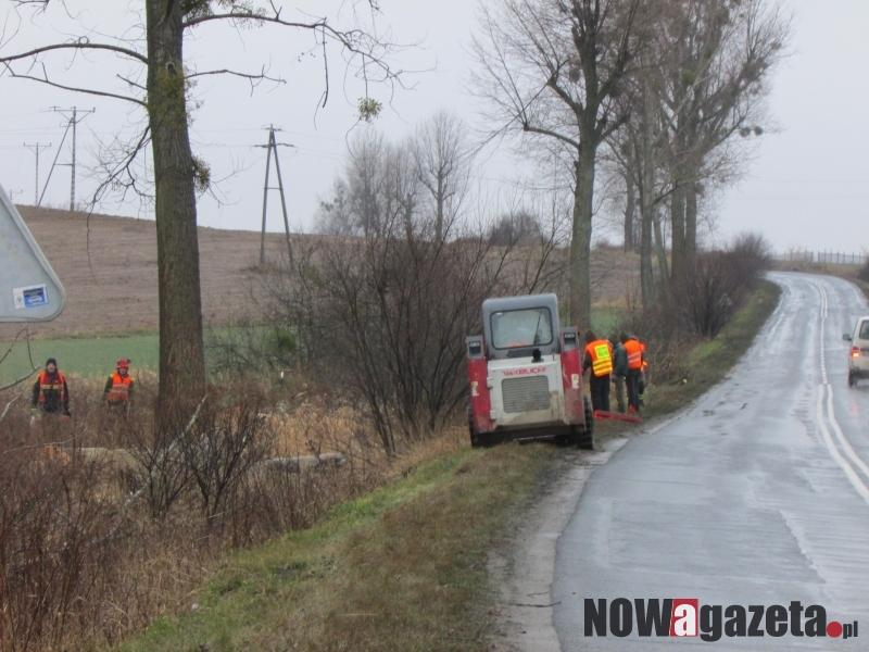 Znikają drzewa na trasie Oborniki Śl. - Wrocław